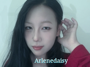 Arlenedaisy