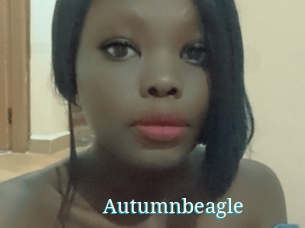 Autumnbeagle