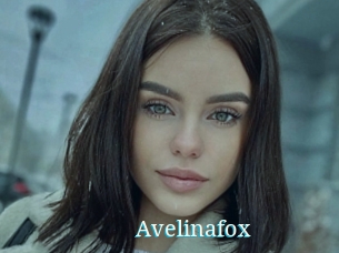 Avelinafox