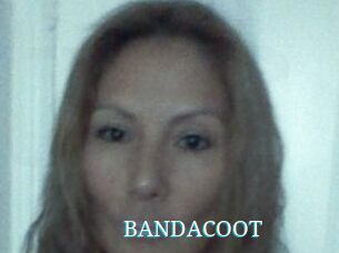 BANDACOOT