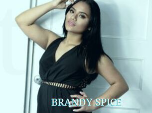 BRANDY_SPICE