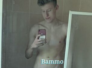 Bammo