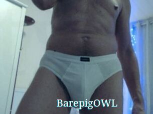 BarepigOWL