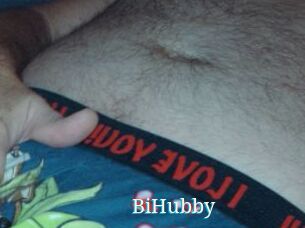 BiHubby