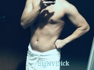 BigNVDick