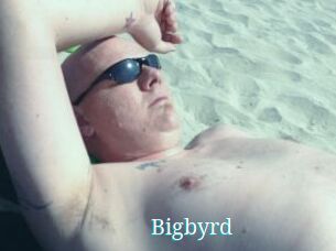 Bigbyrd