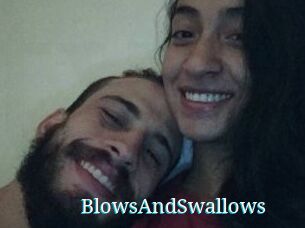 BlowsAndSwallows