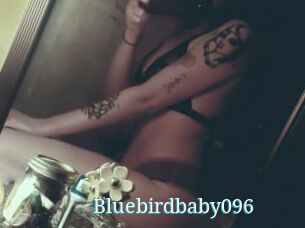 Bluebirdbaby096
