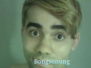 Bongsohung