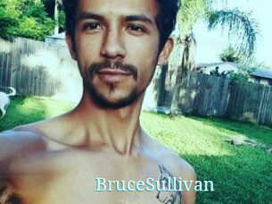Bruce_Sullivan