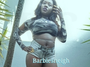 Barbiesneigh