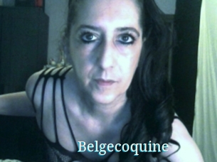 Belgecoquine