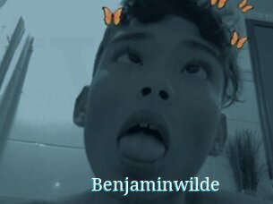 Benjaminwilde
