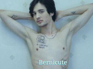 Bernicute