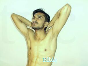 Bibin