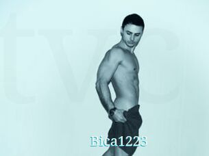 Bica1223