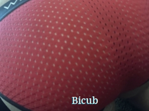 Bicub