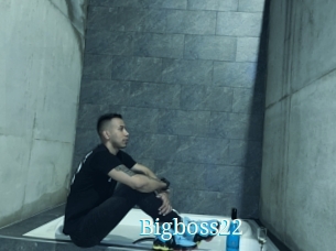Bigboss22
