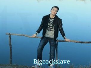 Bigcockslave