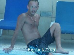 Bigdick22cm
