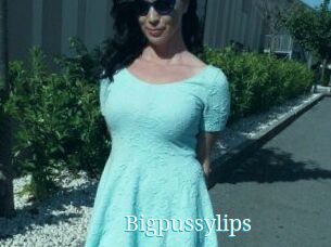 Bigpussylips