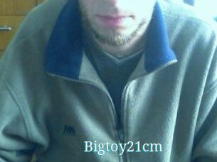 Bigtoy21cm