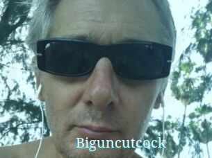 Biguncutcock