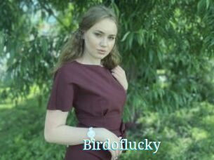Birdoflucky