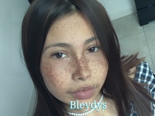 Bleydys