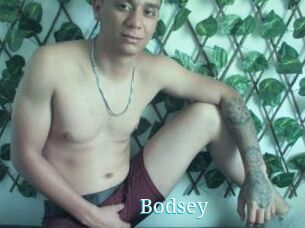 Bodsey