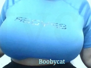 Boobycat