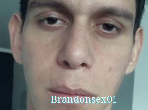 Brandonsex01