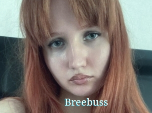 Breebuss