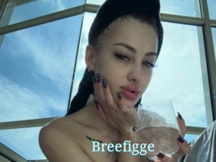 Breefigge