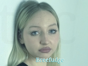 Breefudge