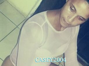 CASEY2004
