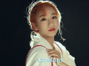 CarelAny