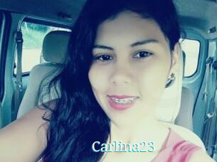 Carlina23