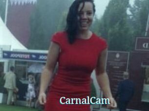 CarnalCam