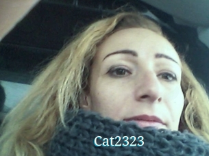 Cat2323
