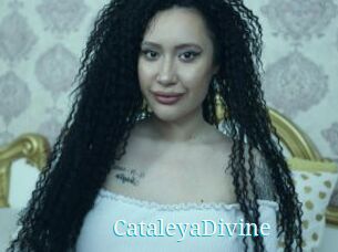 CataleyaDivine