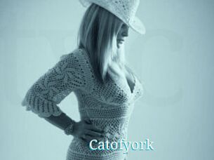 Catofyork