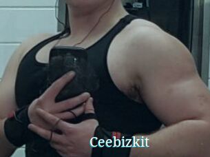 Ceebizkit