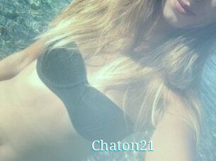 Chaton21