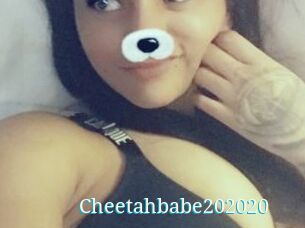 Cheetahbabe202020