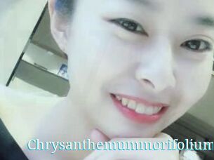 Chrysanthemummorifolium