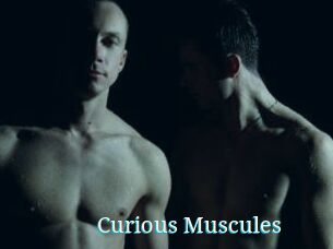 Curious_Muscules