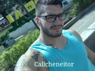 Calicheneitor