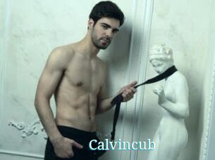 Calvincub