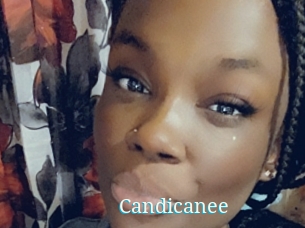 Candicanee